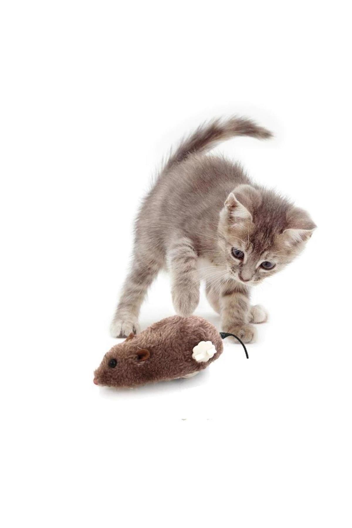 kurmali fare kedi oyuncagi pelus yaratici oyuncak 122098.jpg